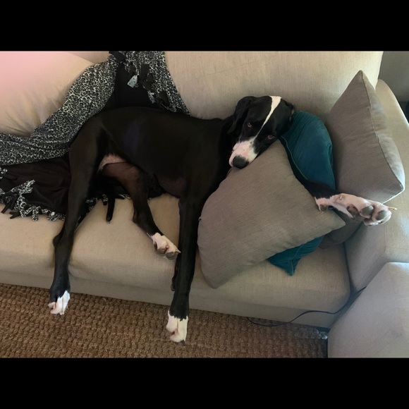 Meet your Posher, Leigh - Picture 6 of 6